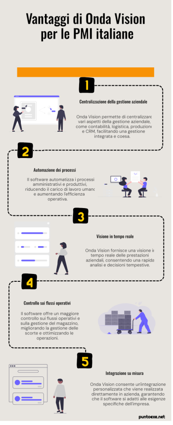 Infografica ERP